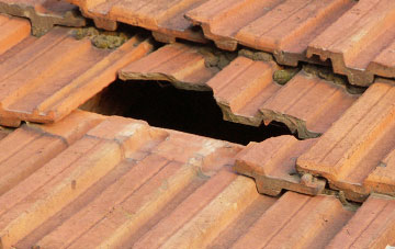 roof repair Pentre Newydd, Shropshire